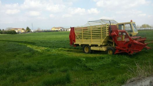 2e690a94-9473-4f9e-aa9a-fec2083f9213