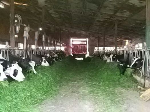 c1cdde13-3272-4432-903b-1685727637a1