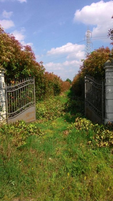 WhatsApp Image 2017-04-12 at 15.17.29