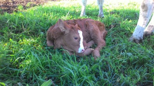 WhatsApp Image 2017-10-24 at 12.06.37.jpeg