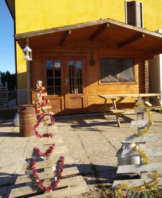 IMG_20181211_124051_1