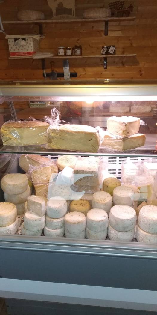 WhatsApp Image 2018-12-06 at 09.15.31.jpeg