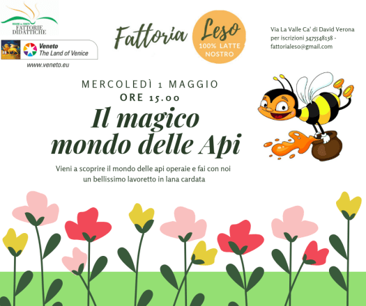 Il magico mondo delle Api.png