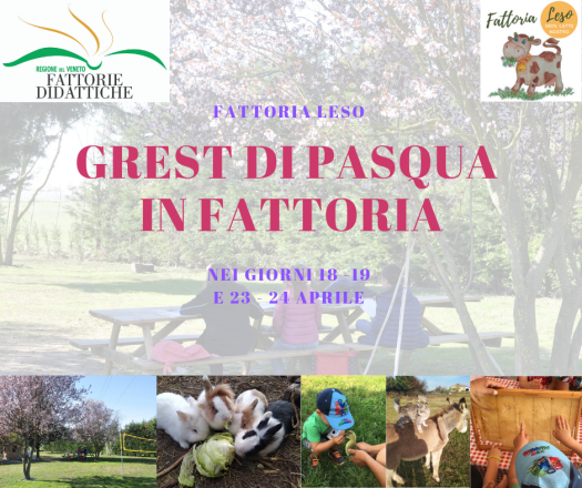 pasqua in fattoria.png