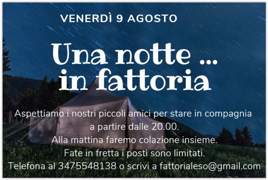 WhatsApp Image 2019-07-29 at 12.17.28.jpeg