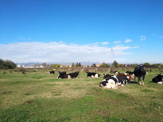 E173869E-89EC-48D0-8D67-ECE82324319C